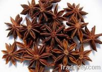 Sell Star aniseed