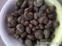 Sell raw cashew nuts