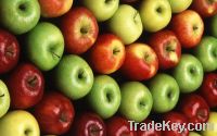 Sell Fresh Green and Red Apple Fruits