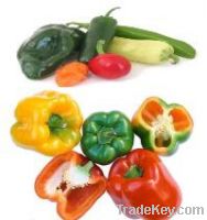 Sell Peppers and Capsicums