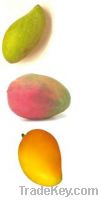 Sell Mango
