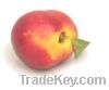 Sell Nectarine