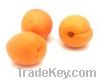 Sell Fresh Apricot