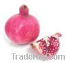 Sell Fresh Pomegranate