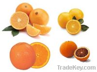 Sell Oranges