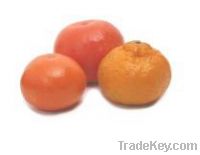 Sell Fresh Mandarin