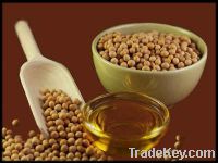 Soybean Oil