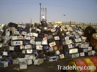 Sell Dry Battery Scrap