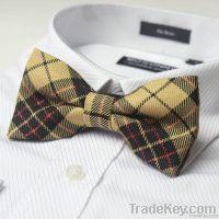 2013 Fashion Polyester Bow Tie