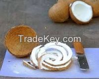 Offer To Sell Coconut Kernel