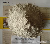 Mica/Mica Powder/Dry Mica Powder /Wet Mica Powder