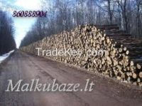 Logs Firewood for Export from Lithuania