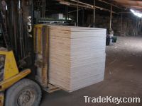 Sell  PLYWOOD