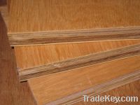 Sell HIGH QUALITY COMMERCIAL PLYWOOD 1220mmx2440mm