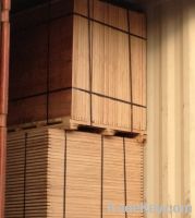 Sell 1220mmx2440mm Plywood