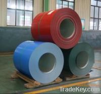 Sell prepainted galvanized steel coils/sheets