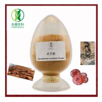 Sell Ganoderma Lucidum Powder(Best quality lingzhi powder)