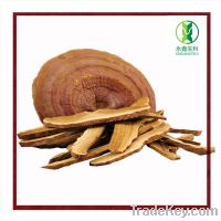 Sell Ganoderma Lucidum Slices(Lingzhi Slices)