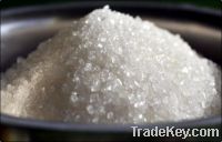 Sell white refined sugar icumsa 45