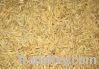 Sell organic feed grade barley