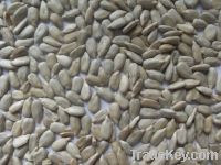 Sell Sunflower Seeds Kernels