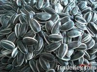 Sell Sunflower Seeds