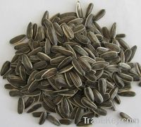 Sell Sunflower Seeds