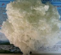 hcs polyester fiber