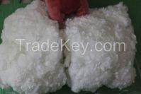 POLY Fiber Manufacturers Suppliers from CHINA