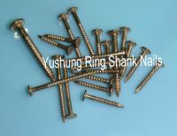 Silicon bronze ring shank nails