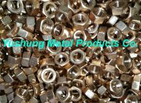 PB102(CuSn5) Phosphor Bronze Hex Nuts DIN934/ISO4032 M12-1.75