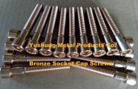 Silicon Bronze Socket Cap Screw ISO4762