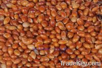 Sell Red Broomcorn Millet