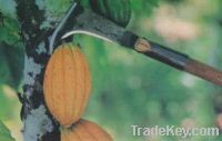 Sell Cocoa Fruit Harvesting Knife