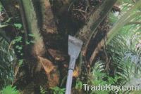 Sell Oil Palm Fruits Harvesting Chisel
