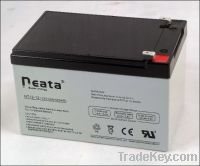 UPS Lead Acid Battery 12V-12ah (ISO, CE, UL, RoHS) (NT12V12ah)