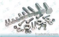 Titanium standard parts, pieces of processing titanium, titanium faste