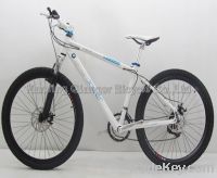 Sell mountain bicycle