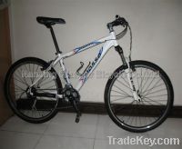 Sell mountain bicycle