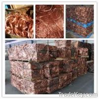 Copper Wire Scraps Suppliers | Copper Scrap Exporters | Copper Scrap Manufacturers | Cheap Copper Scrap | Wholesale Copper Scraps | Discounted Copper Scrap | Bulk Copper Scraps | Copper Scrap Buyer | Import Copper Scrap | Copper Scrap Importers | Copper S