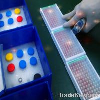 Sell Rat Interleukin 10(IL-10) ELISA Kit