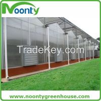 Polycarbonate Greenhouse for sale