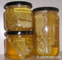 100% Pure Honey Available