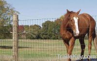 Sell Horse Netting/Wire Fence for Horses