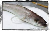 Sell Silver Hake