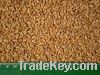 wheat, peas and barley, buckwheat, millet, feed wheat, wheat flour,