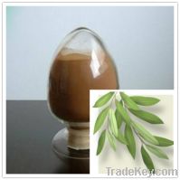 Sell 25% Oleuropein olive leaf extract