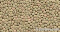 Sell Green Lentils