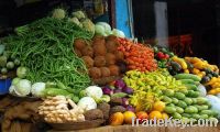 Sell Fresh Vegetable and Fruit ( garlic, ginger, onion, potato...)