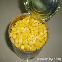 Sell Canned Sweet Corn (canned vacuum sweet corn kernal)